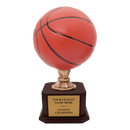 Premium Custom Basketball Trophy - Type A5 Series 2RG3X03 - Anderson Trophy Co.