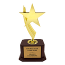 Premium Custom Gold Star Trophy - Type A5 Series 1ZX2040 - Anderson Trophy Co.