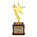 Premium Custom Gold Star Trophy - Type A6 Series 1ZX2040 - Anderson Trophy Co.