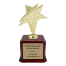 Premium Custom Gold Star Trophy - Type A6 Series 34955G - Anderson Trophy Co.
