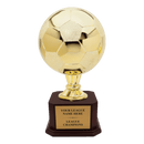 Premium Custom Soccer Trophy - Type A5 Series 2RG3X13 - Anderson Trophy Co.