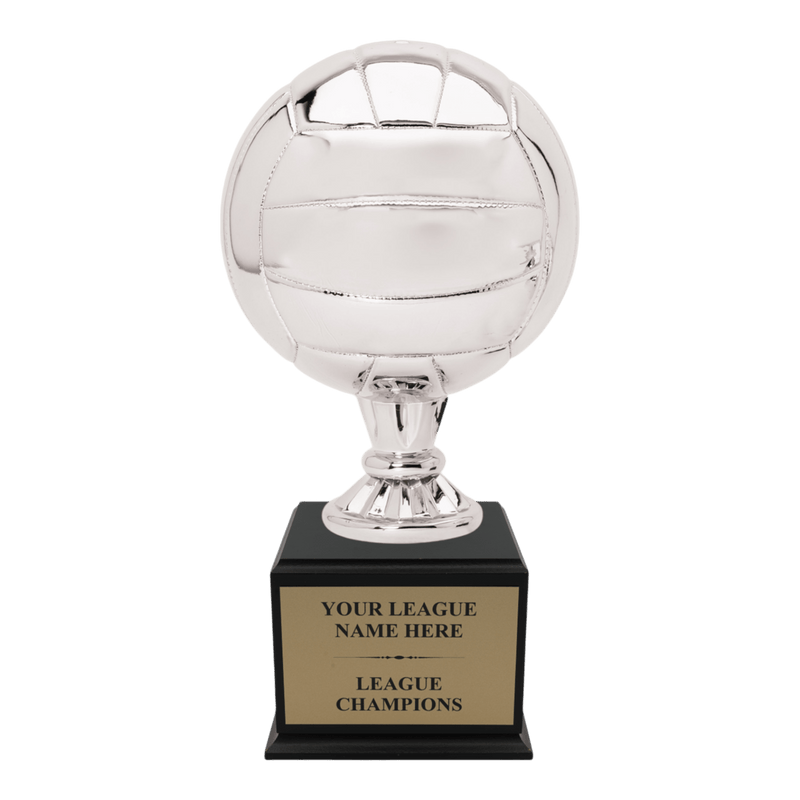 Premium Custom Volleyball Trophy - Type A4 Series 2RG3X17 - Anderson Trophy Co.