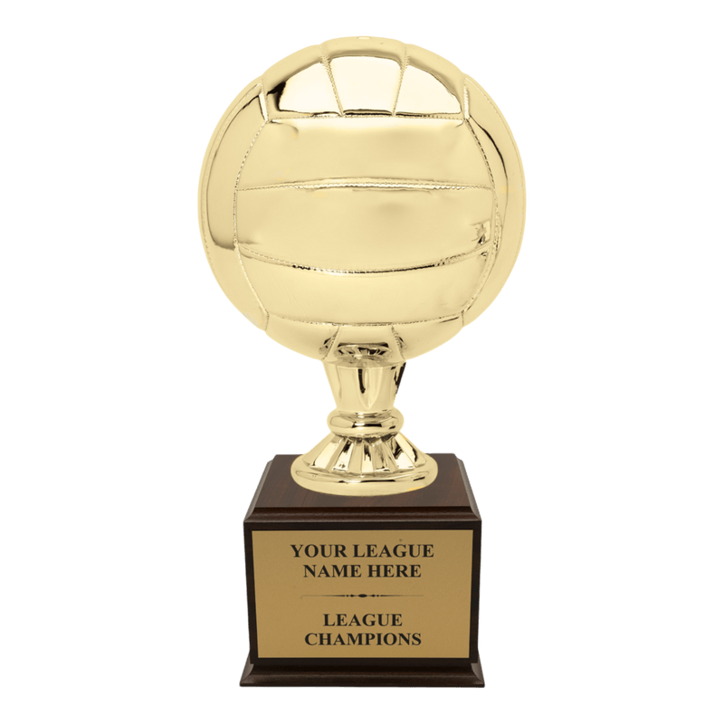 Premium Custom Volleyball Trophy - Type A4 Series 2RG3X17 - Anderson Trophy Co.