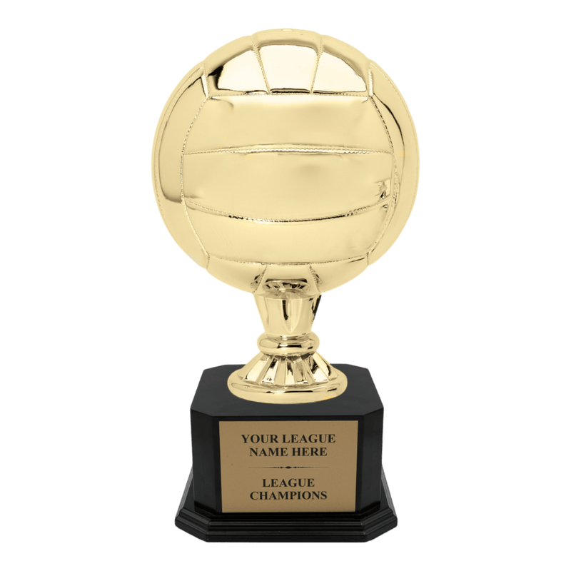 Premium Custom Volleyball Trophy - Type A5 Series 2RG3X17 - Anderson Trophy Co.