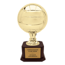 Premium Custom Volleyball Trophy - Type A5 Series 2RG3X17 - Anderson Trophy Co.