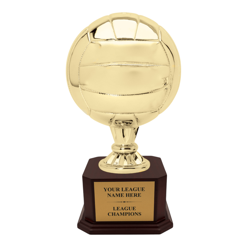 Premium Custom Volleyball Trophy - Type A5 Series 2RG3X17 - Anderson Trophy Co.