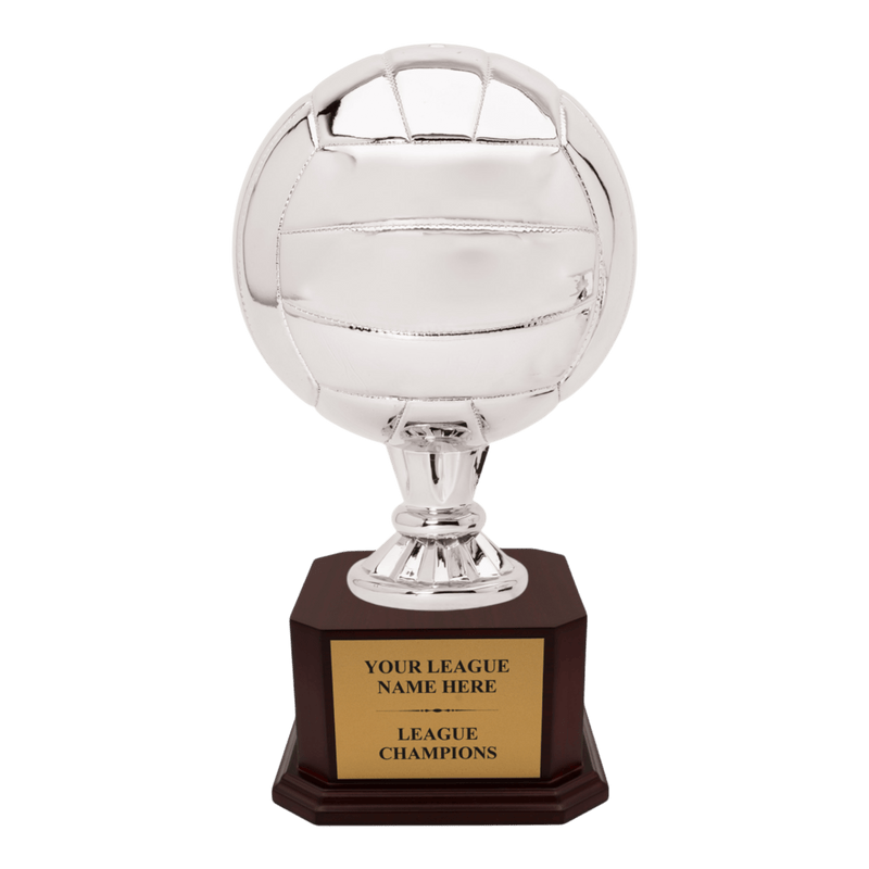 Premium Custom Volleyball Trophy - Type A5 Series 2RG3X17 - Anderson Trophy Co.