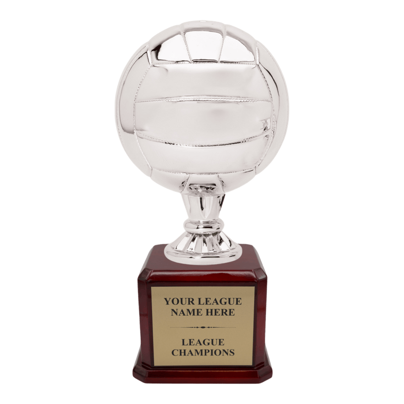 Premium Custom Volleyball Trophy - Type A6 Series 2RG3X17 - Anderson Trophy Co.