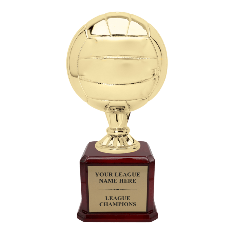 Premium Custom Volleyball Trophy - Type A6 Series 2RG3X17 - Anderson Trophy Co.