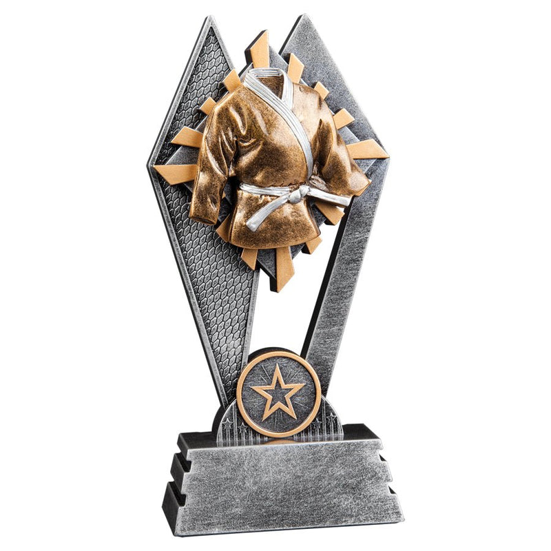 Sun Ray Series Martial Arts Resin Trophy - Anderson Trophy Co.