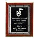 1RF Silver Trimmed Decorative Plaque - AndersonTrophy.com