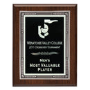 1RF Silver Trimmed Decorative Plaque - AndersonTrophy.com