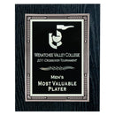 1RF Silver Trimmed Decorative Plaque - AndersonTrophy.com
