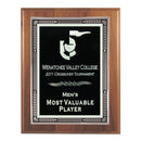 1RF Silver Trimmed Decorative Plaque - AndersonTrophy.com