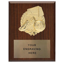 310 Soccer Plaque - AndersonTrophy.com