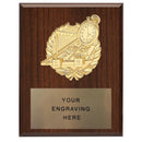 310 Swim Plaque - AndersonTrophy.com
