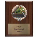 361 Billiards Plaque - AndersonTrophy.com