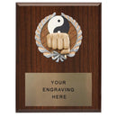 361 Martial Arts Plaque - AndersonTrophy.com