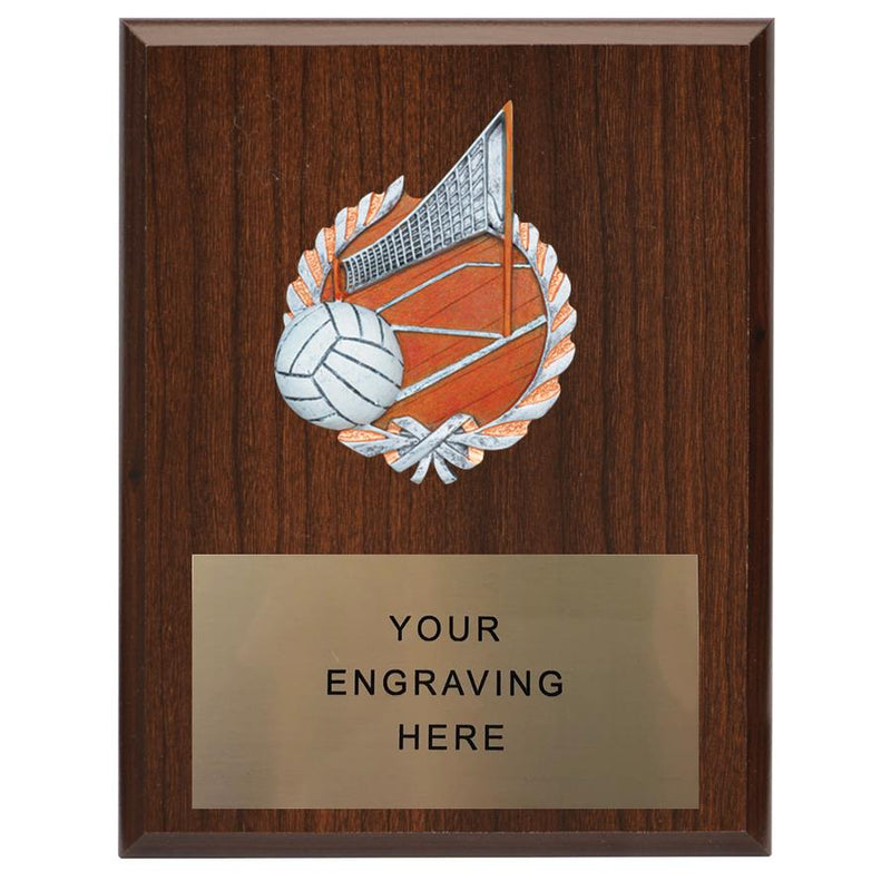 361 Volleyball Plaque - AndersonTrophy.com