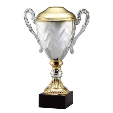 AMC15 Series Trophy Cup - AndersonTrophy.com