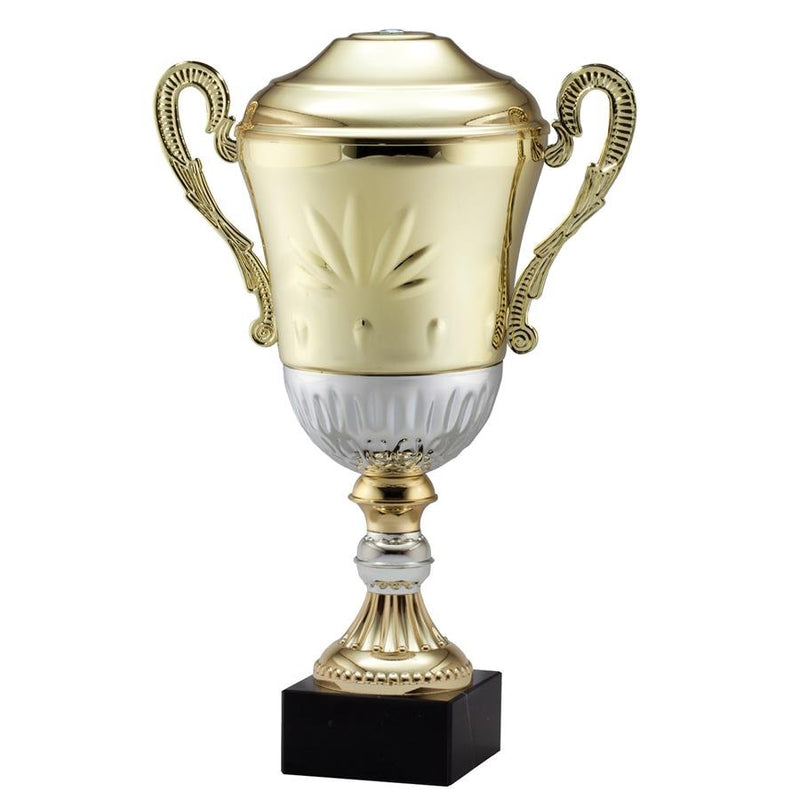 AMC18 Series Trophy Cup - AndersonTrophy.com