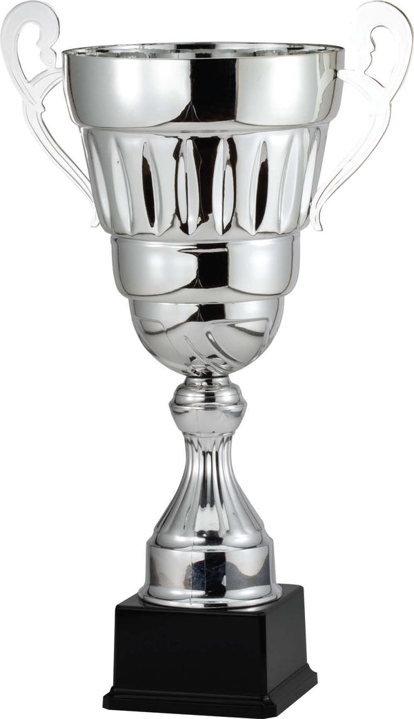 AMC376 Series Trophy Cup Award - AndersonTrophy.com