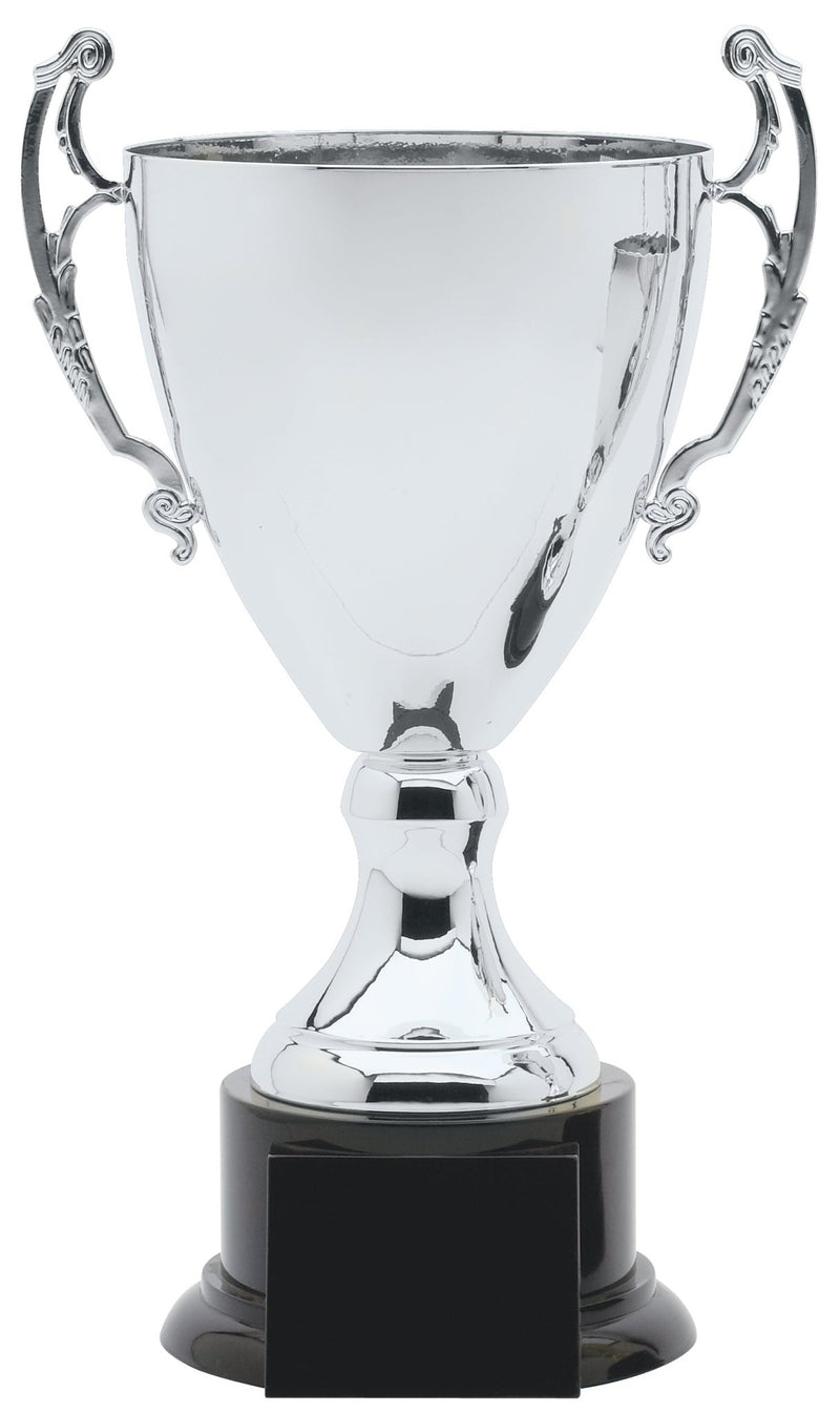 AMC6 Series Trophy Cup Award - AndersonTrophy.com