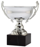 AMC60 Series Trophy Cup Award - AndersonTrophy.com