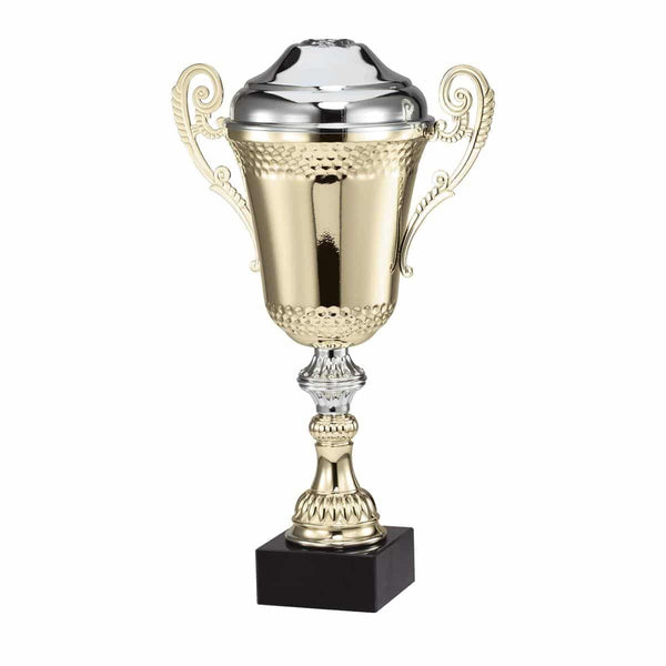 AMC79 Series Trophy Cup - AndersonTrophy.com