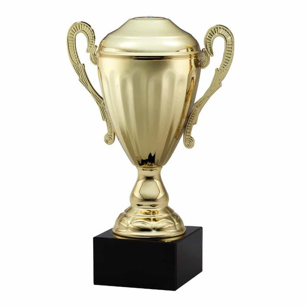 AMC8 Series Trophy Cup - AndersonTrophy.com