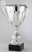 AMC85 Series Trophy Cup Award - AndersonTrophy.com