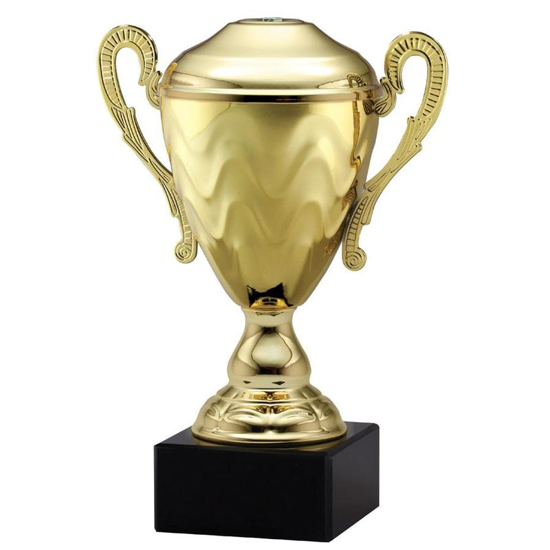 AMC9 Series Trophy Cup - AndersonTrophy.com