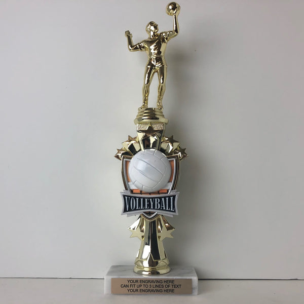 Build To Order Custom Volleyball Trophies - Set 001028 - AndersonTrophy.com