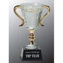 CRY039 Series Crystal Trophy Cup Award - AndersonTrophy.com