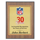 Custom Color Plaque - E Class - AndersonTrophy.com