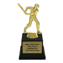 Custom Cricket Trophy - Type A1 Series 34003 - AndersonTrophy.com