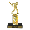 Custom Cricket Trophy - Type C Series 34003 - AndersonTrophy.com