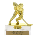 Custom Hockey Trophy - Type A Series 34041 - AndersonTrophy.com