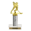 Custom Hockey Trophy - Type C Series 34041 - AndersonTrophy.com