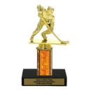 Custom Hockey Trophy - Type C Series 34041 - AndersonTrophy.com