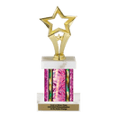 Custom Star Trophy - Type F Series 1RP90506 - AndersonTrophy.com