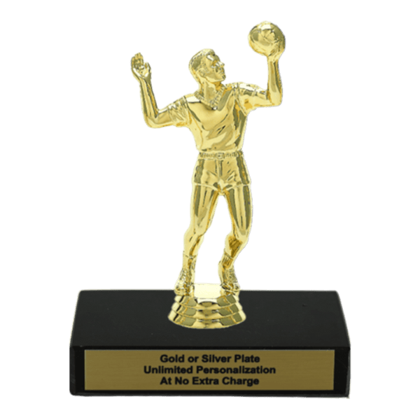 Custom Volleyball Trophy - Type A Series 3518 - AndersonTrophy.com