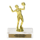 Custom Volleyball Trophy - Type A Series 3518 - AndersonTrophy.com