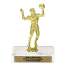 Custom Volleyball Trophy - Type A Series 3518 - AndersonTrophy.com