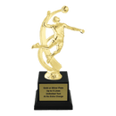 Custom Volleyball Trophy - Type A1 Series 2MF4525 - AndersonTrophy.com