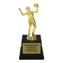 Custom Volleyball Trophy - Type A1 Series 3518 - AndersonTrophy.com