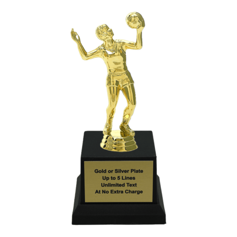 Custom Volleyball Trophy - Type A1 Series 3518 - AndersonTrophy.com