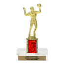 Custom Volleyball Trophy - Type C Series 3518 - AndersonTrophy.com