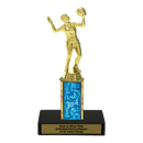 Custom Volleyball Trophy - Type C Series 3518 - AndersonTrophy.com