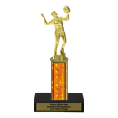 Custom Volleyball Trophy - Type C Series 3518 - AndersonTrophy.com